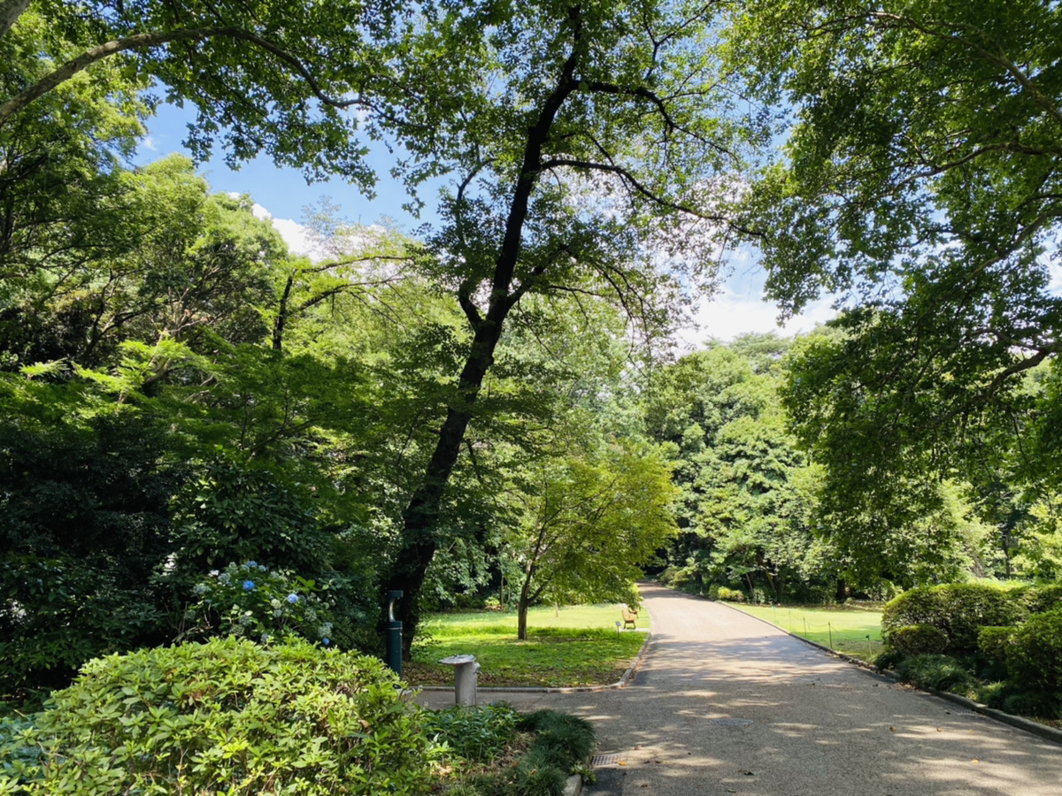 ７月のOJT報告 － Sさん