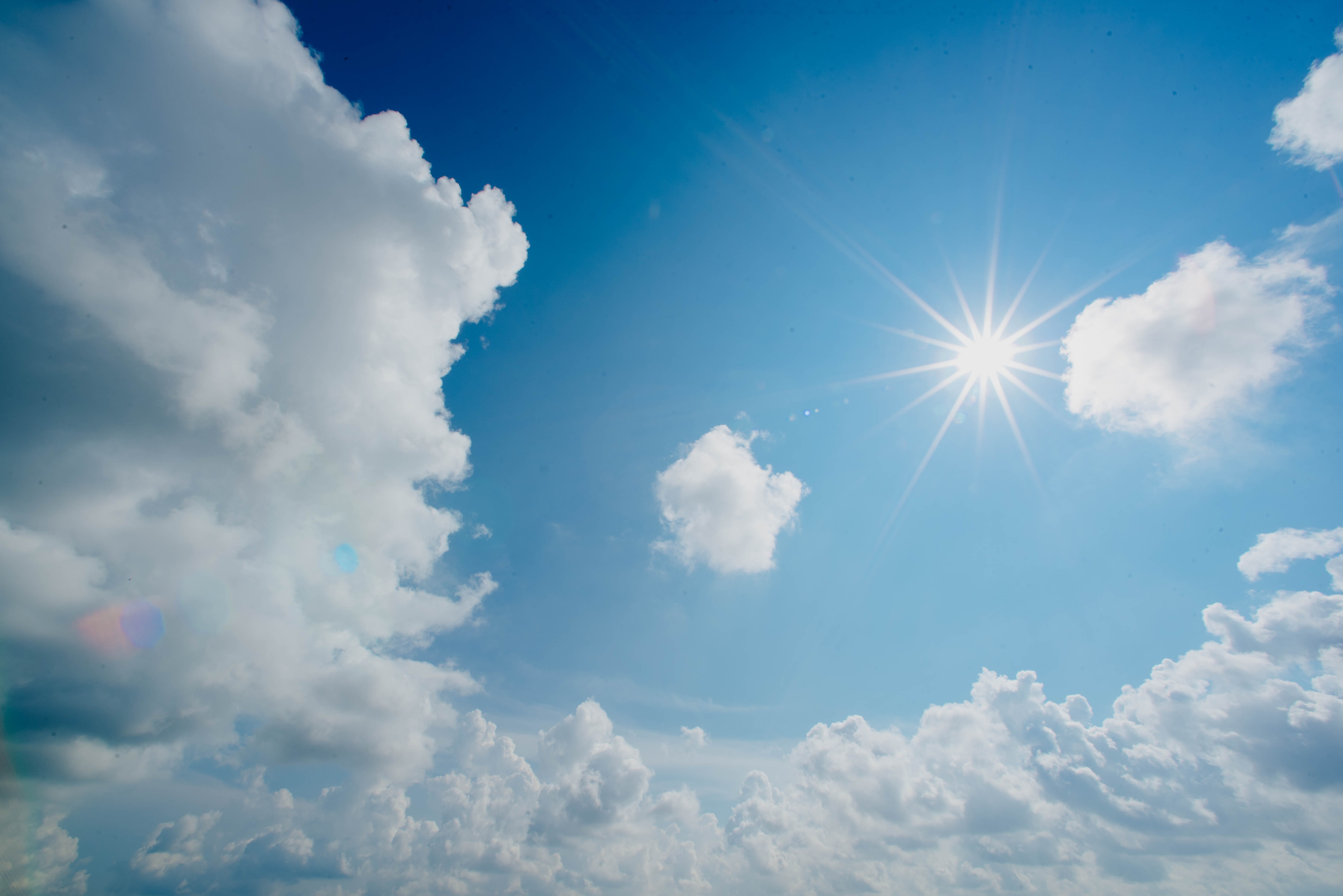 夏の相棒🌞