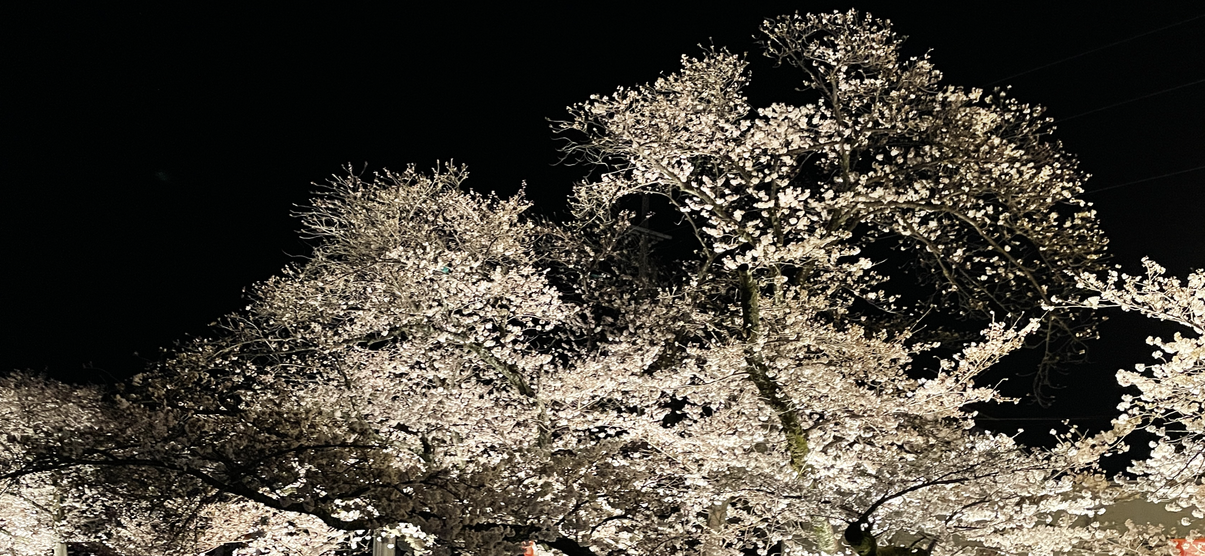 なぜPlusingは生まれたのか。