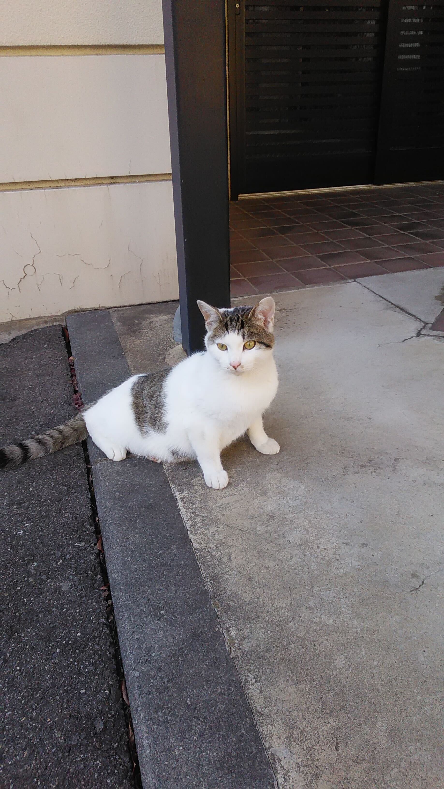 必要なのは、「集中力と継続力」インターンインタビュー