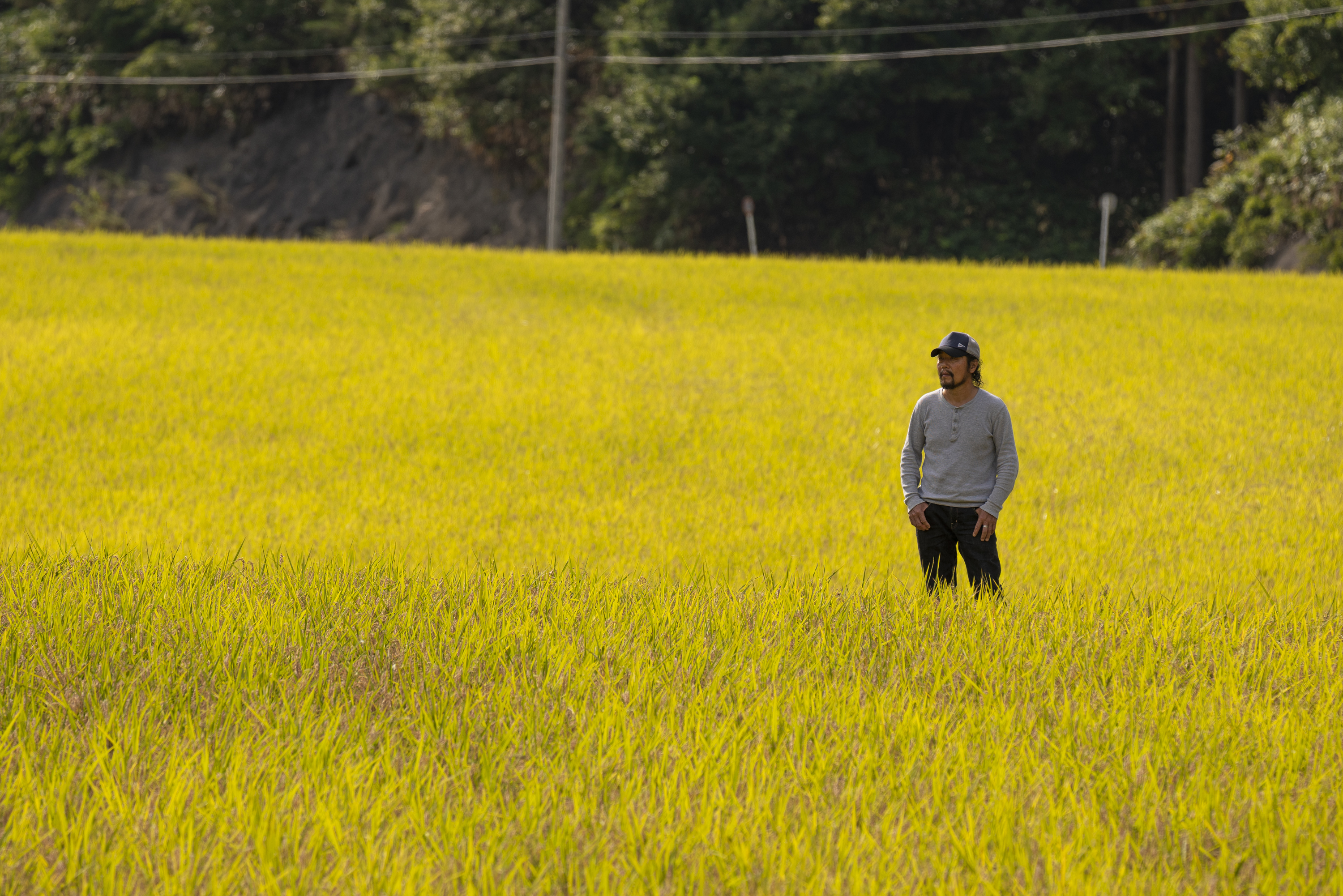 Koagoの事業紹介動画