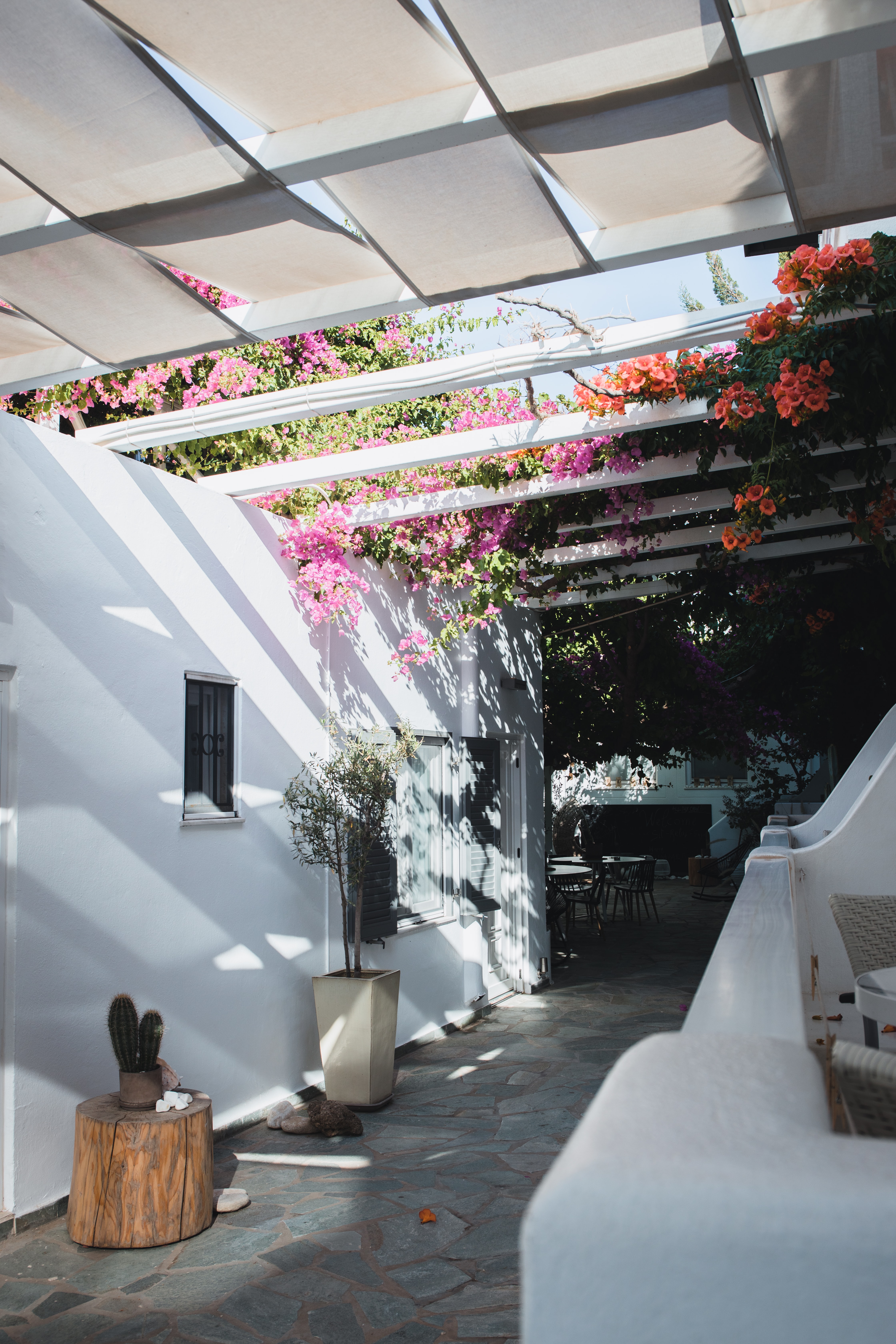 50歳以降のフィットネスのヒント