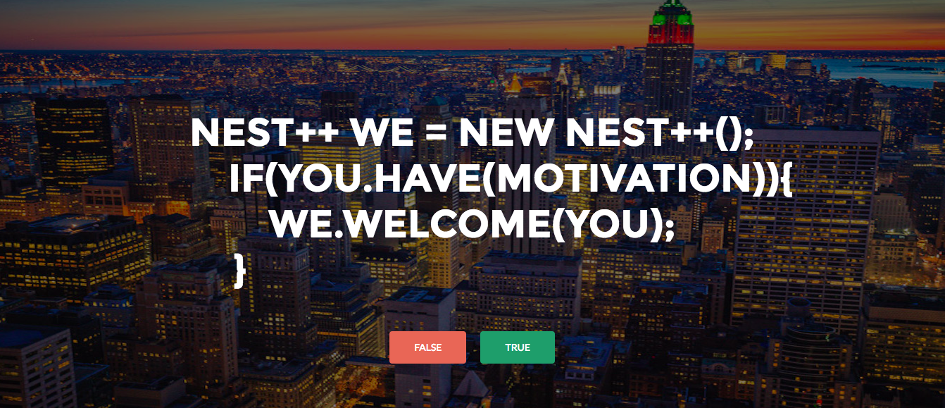 成長者集団ネスプラ、新年の抱負。