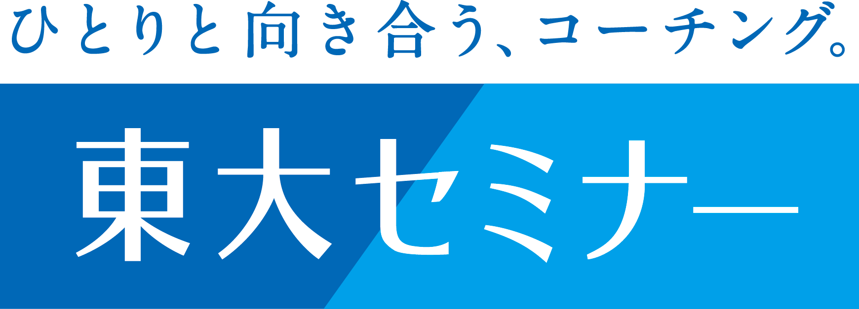 株式会社日本エルデイアイ