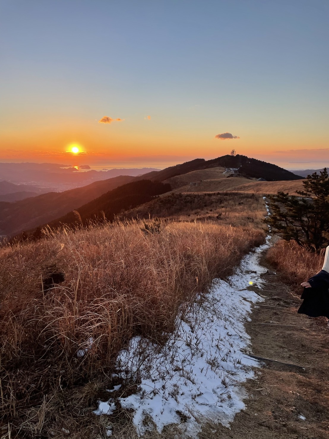 メンバー紹介（Tさん）