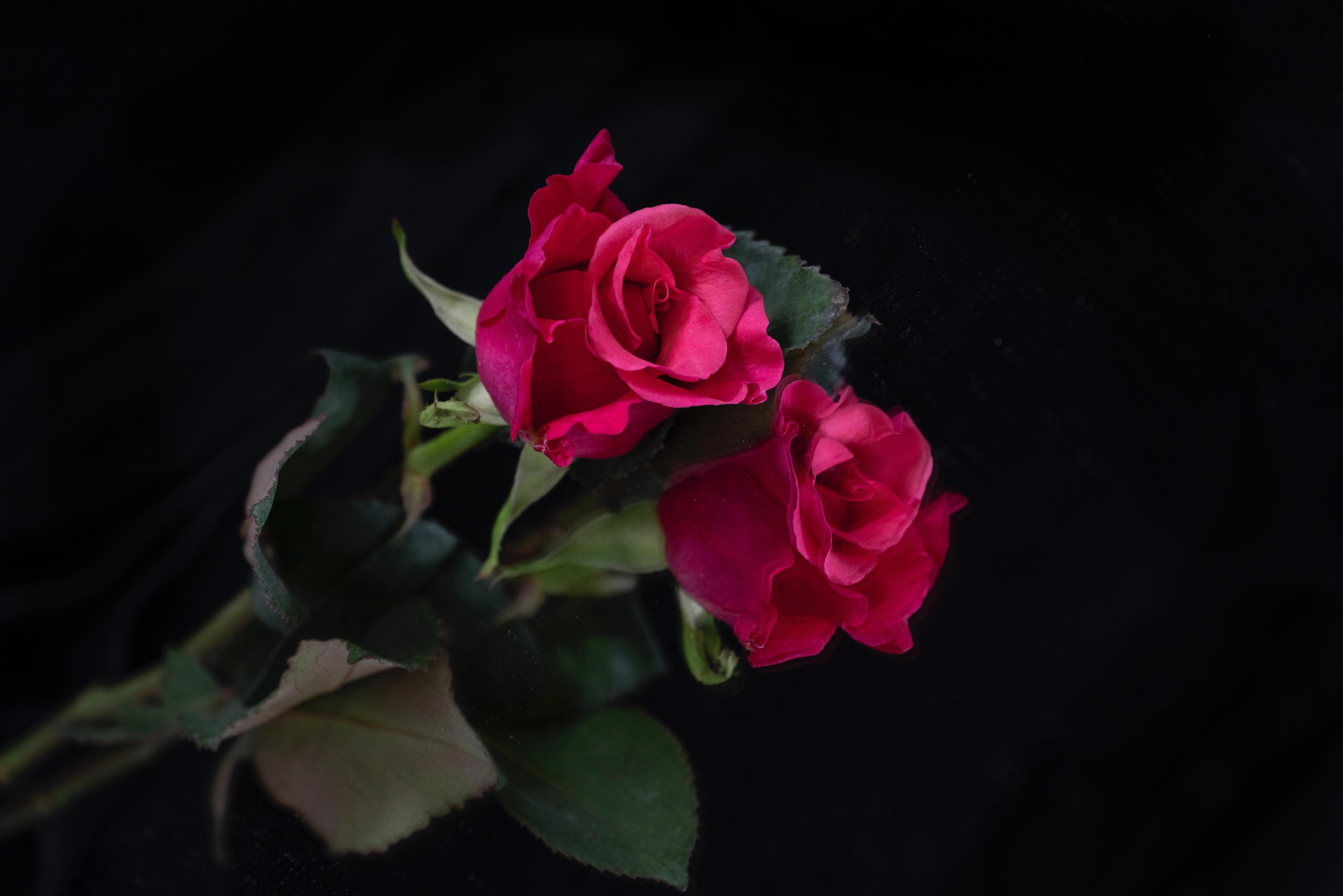 ドラマまとめ！