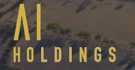 ㈱AIホールディングス