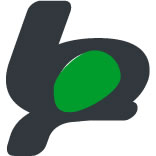 株式会社Lifepicture