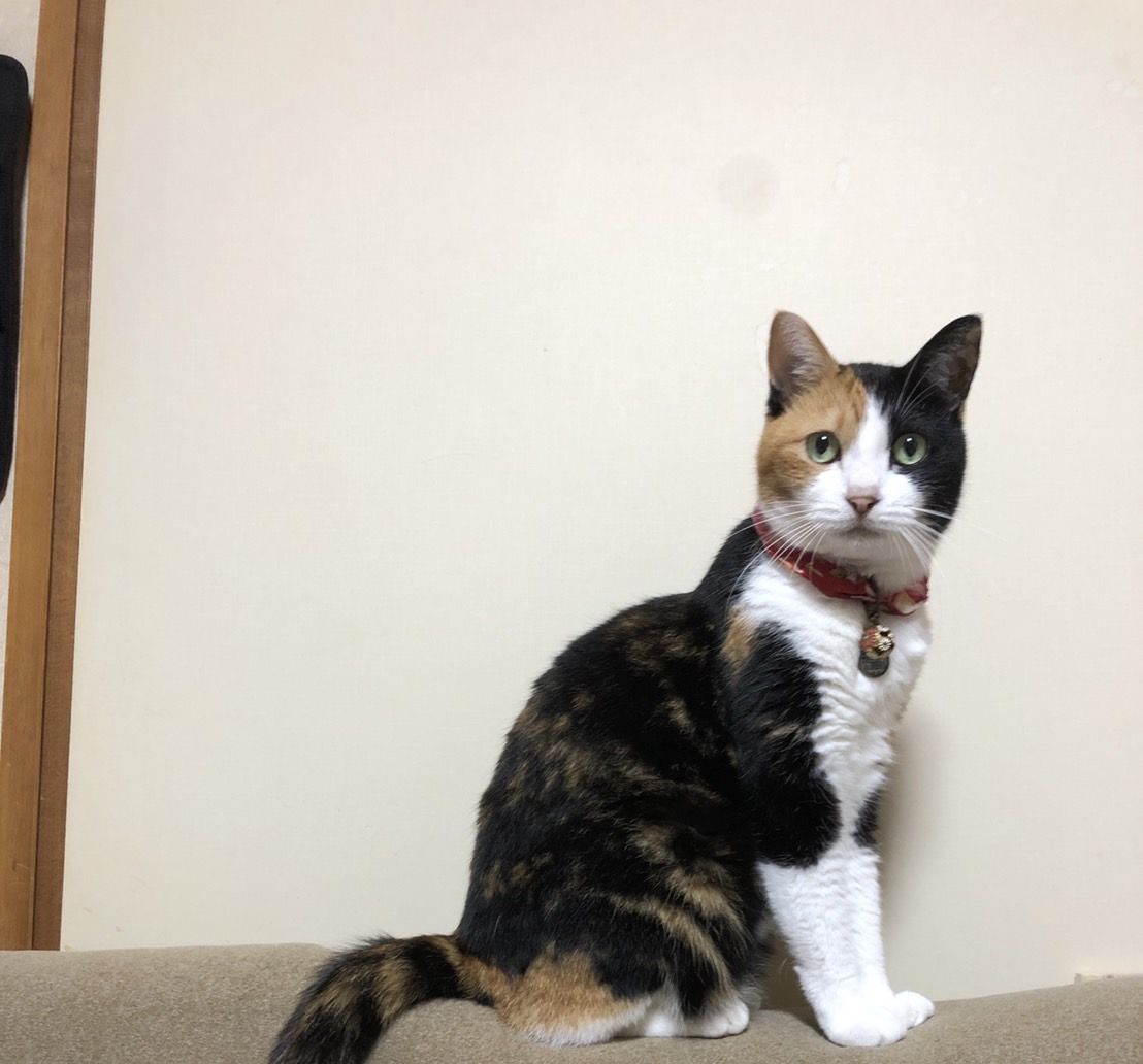 我が家の長女