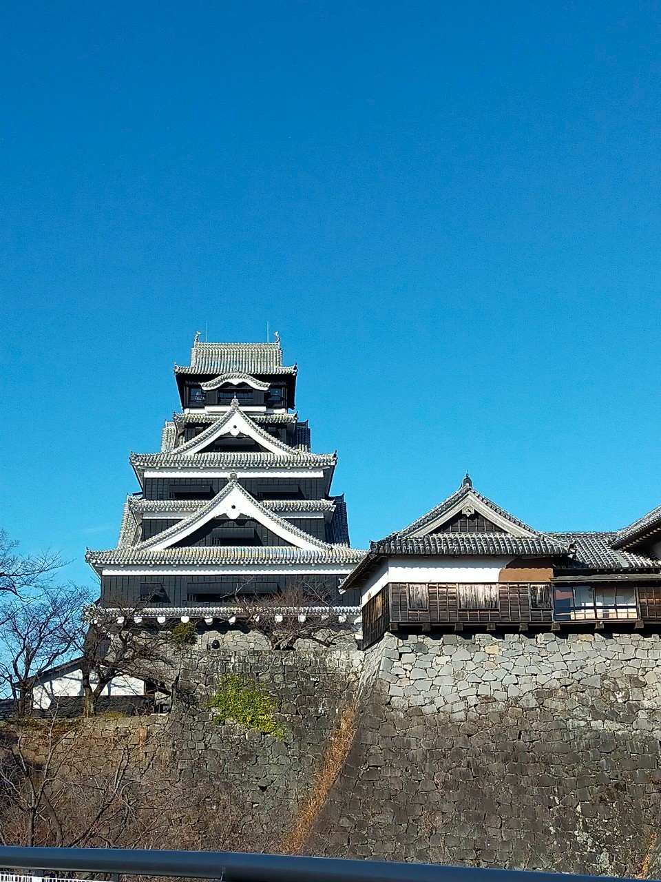 【社員インタビュー#3 信岡さん】イデアルアーキテクツの魅力って？入社2年目信岡さんに聞いてみました！