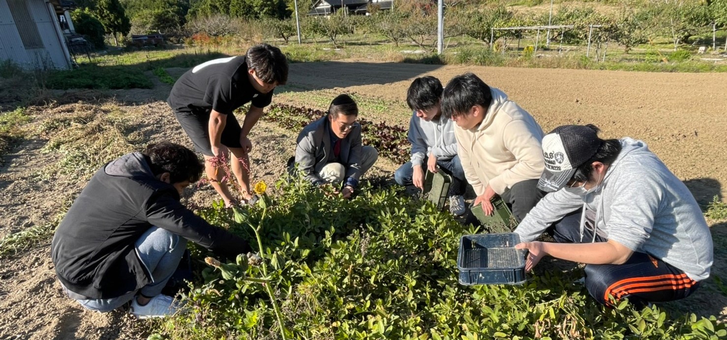 アウトドア部　in　岡山　落花生収穫体験
