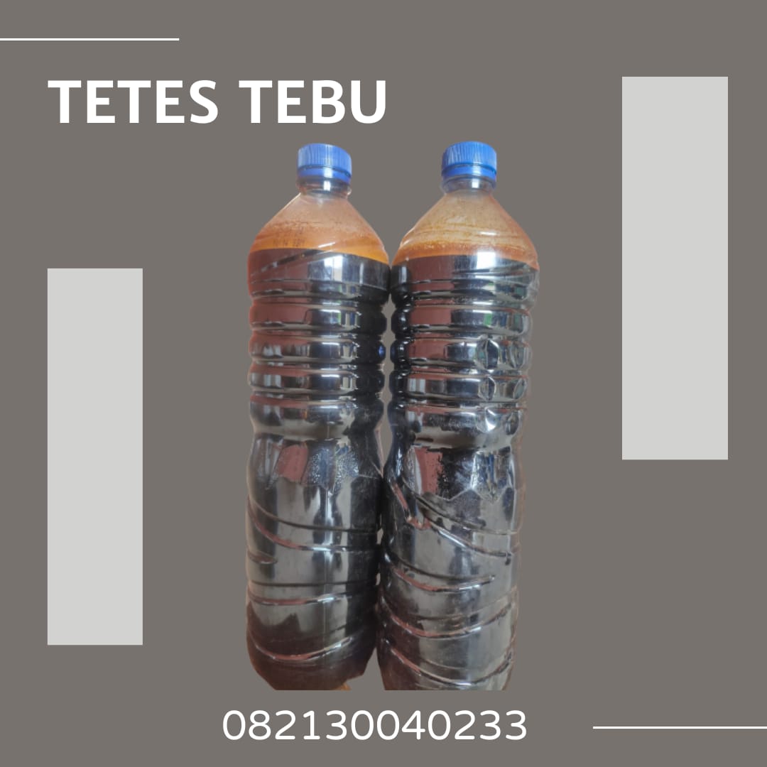 tetes tebu asli-082130040233