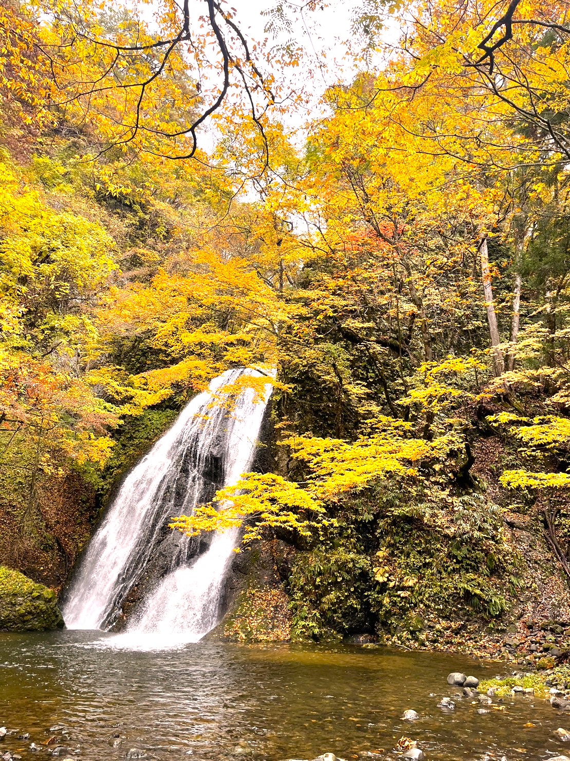 世界遺産のふもとで暮らすってどんな景色なの？