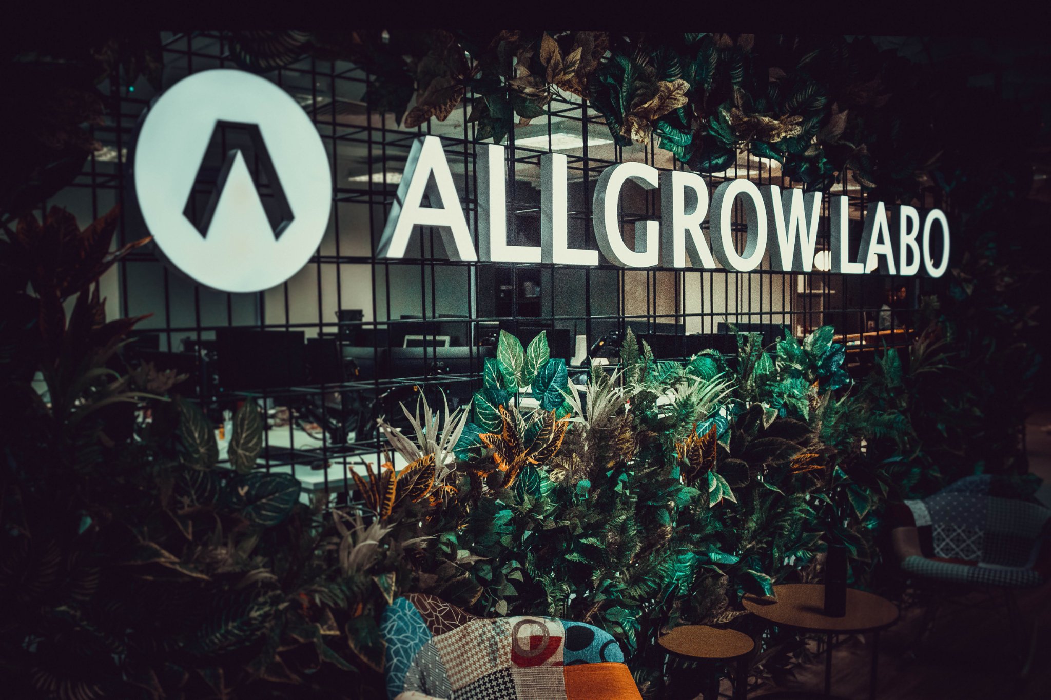 オルグローラボ(ベトナム)の概要とオフィスについて