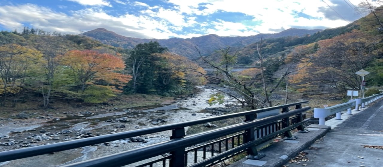 Incubation Unitだより