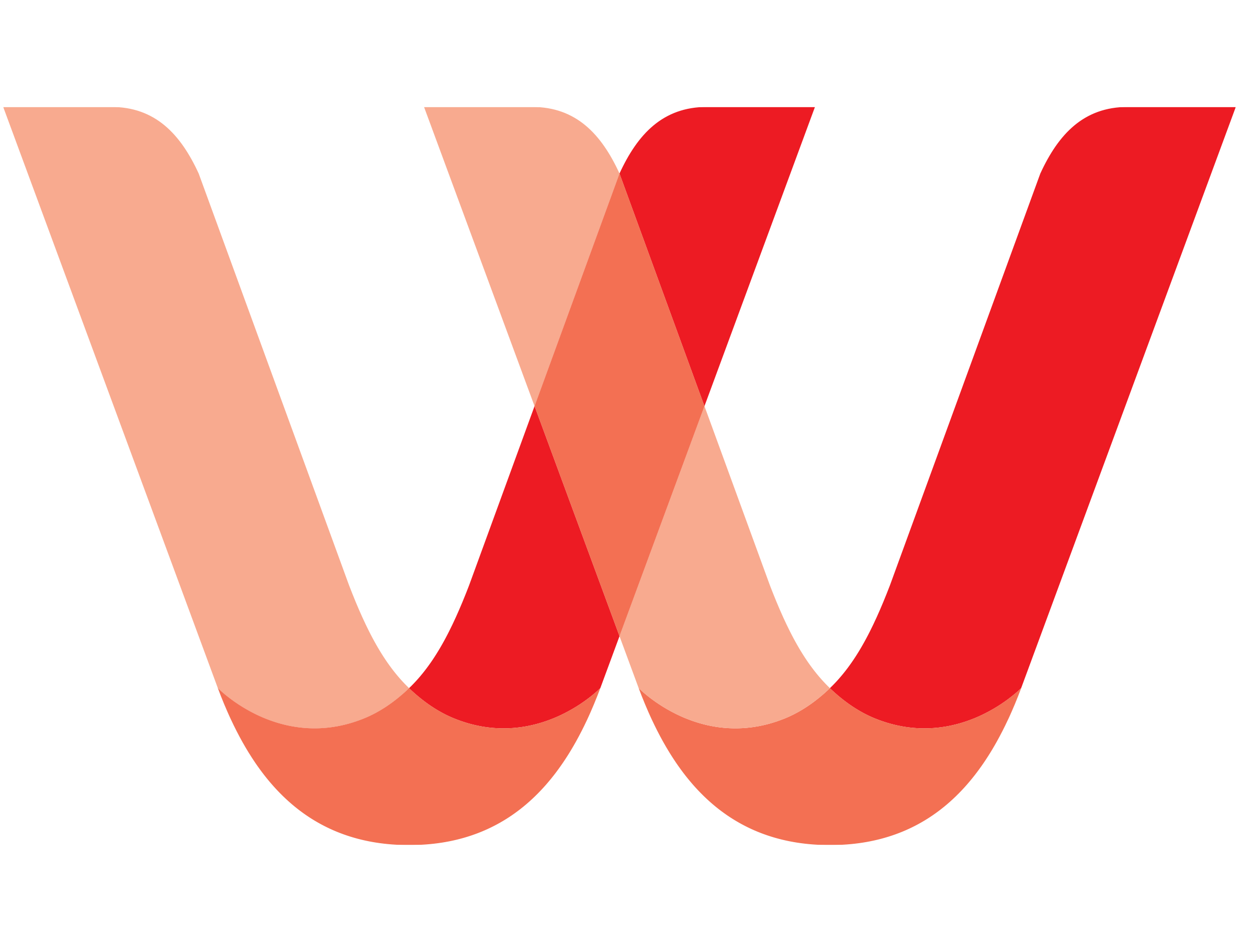 Whealthfields Lohmann (S) Pte Ltd