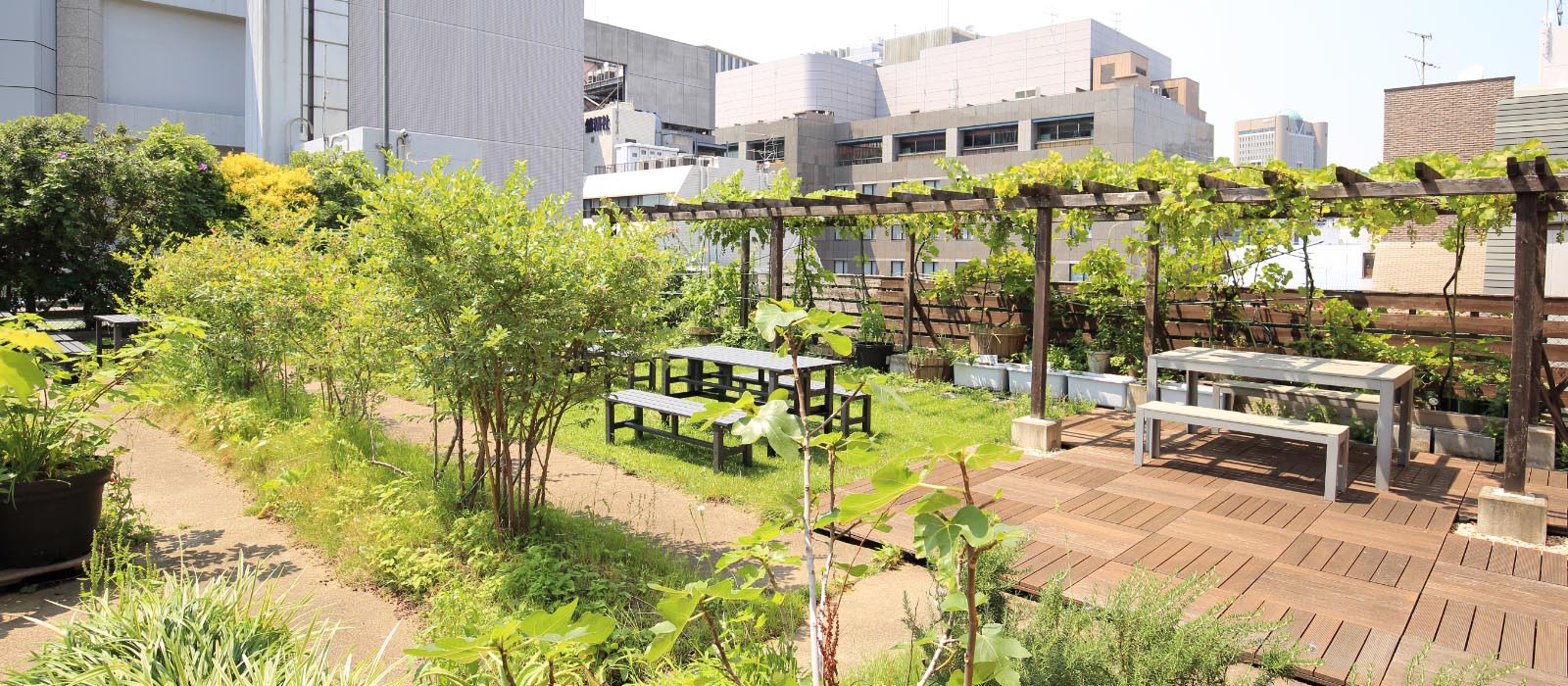 noteで情報発信しています！