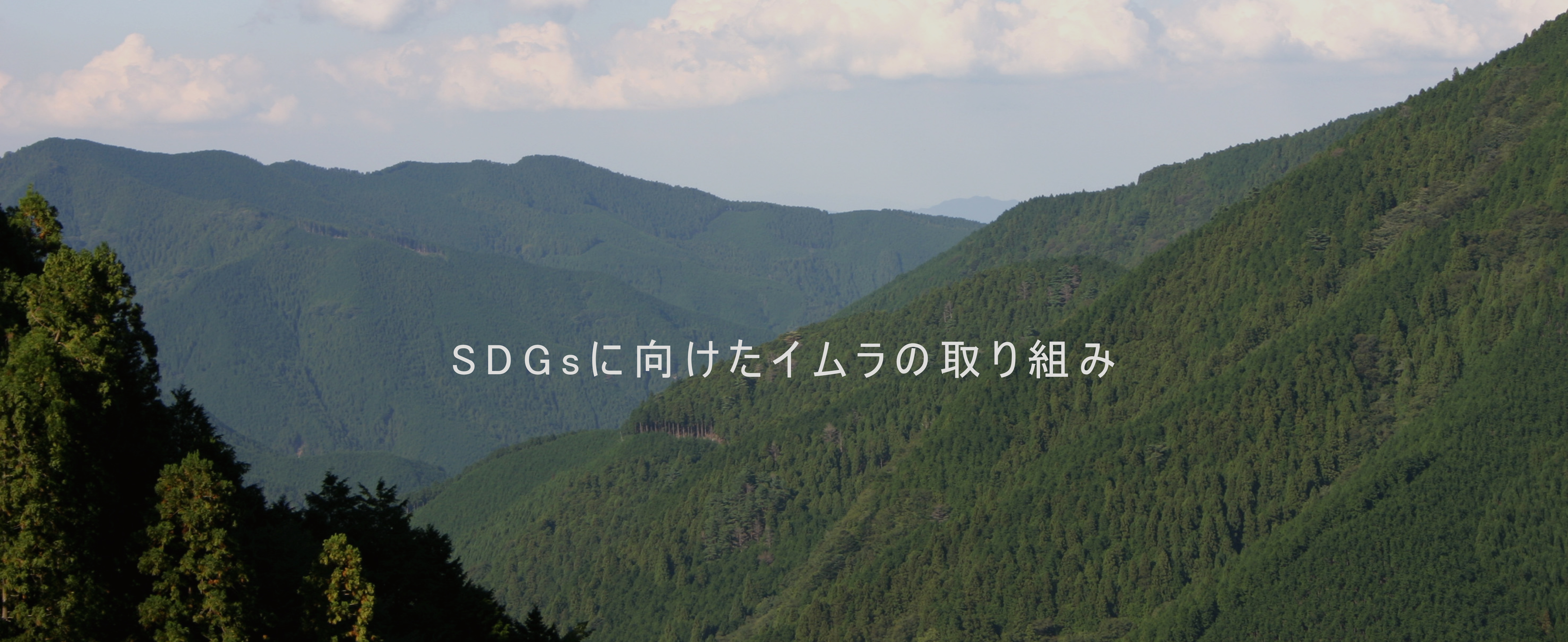 SDGsに向けたイムラの取り組み