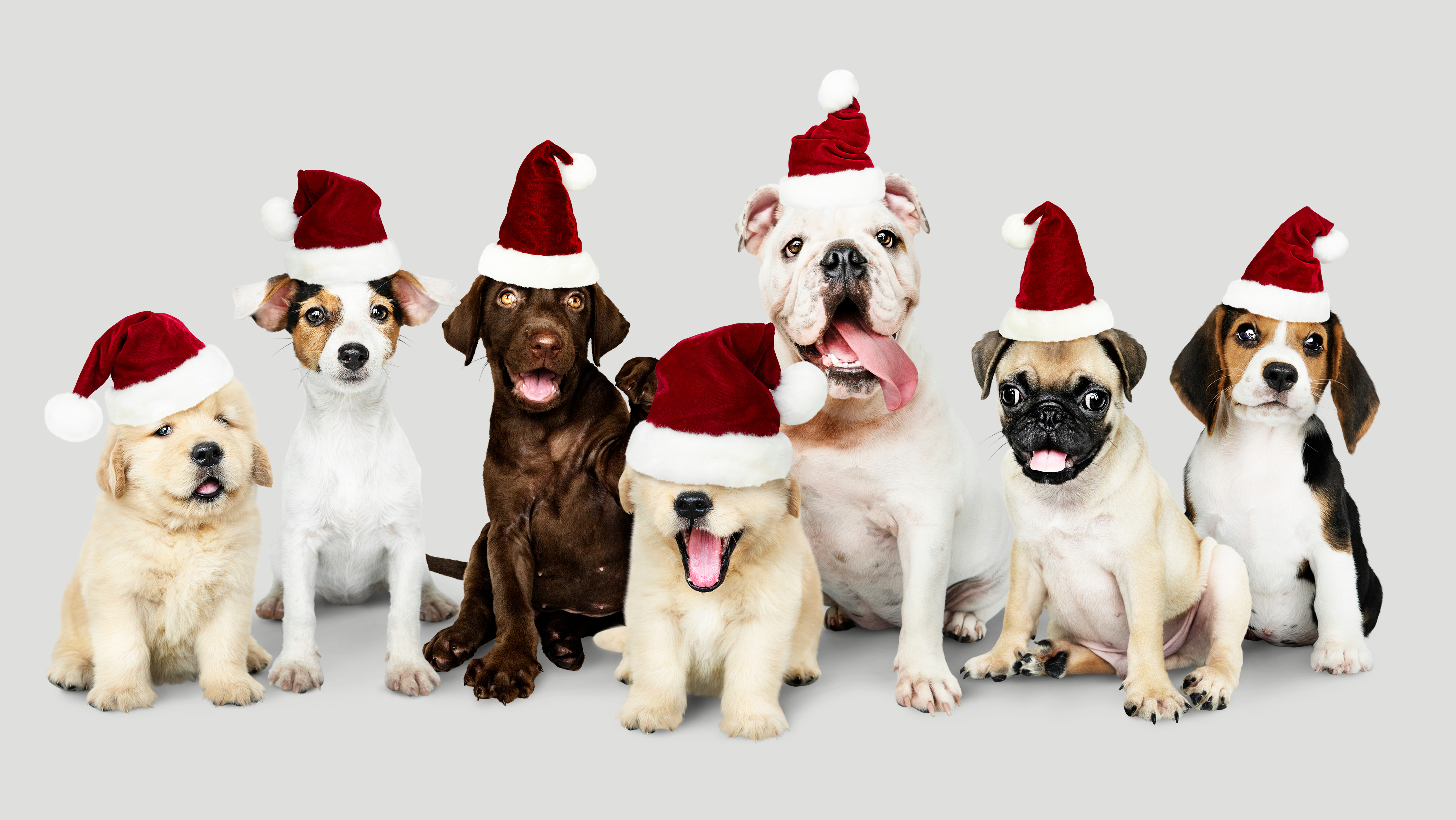 男だらけのクリスマス会
