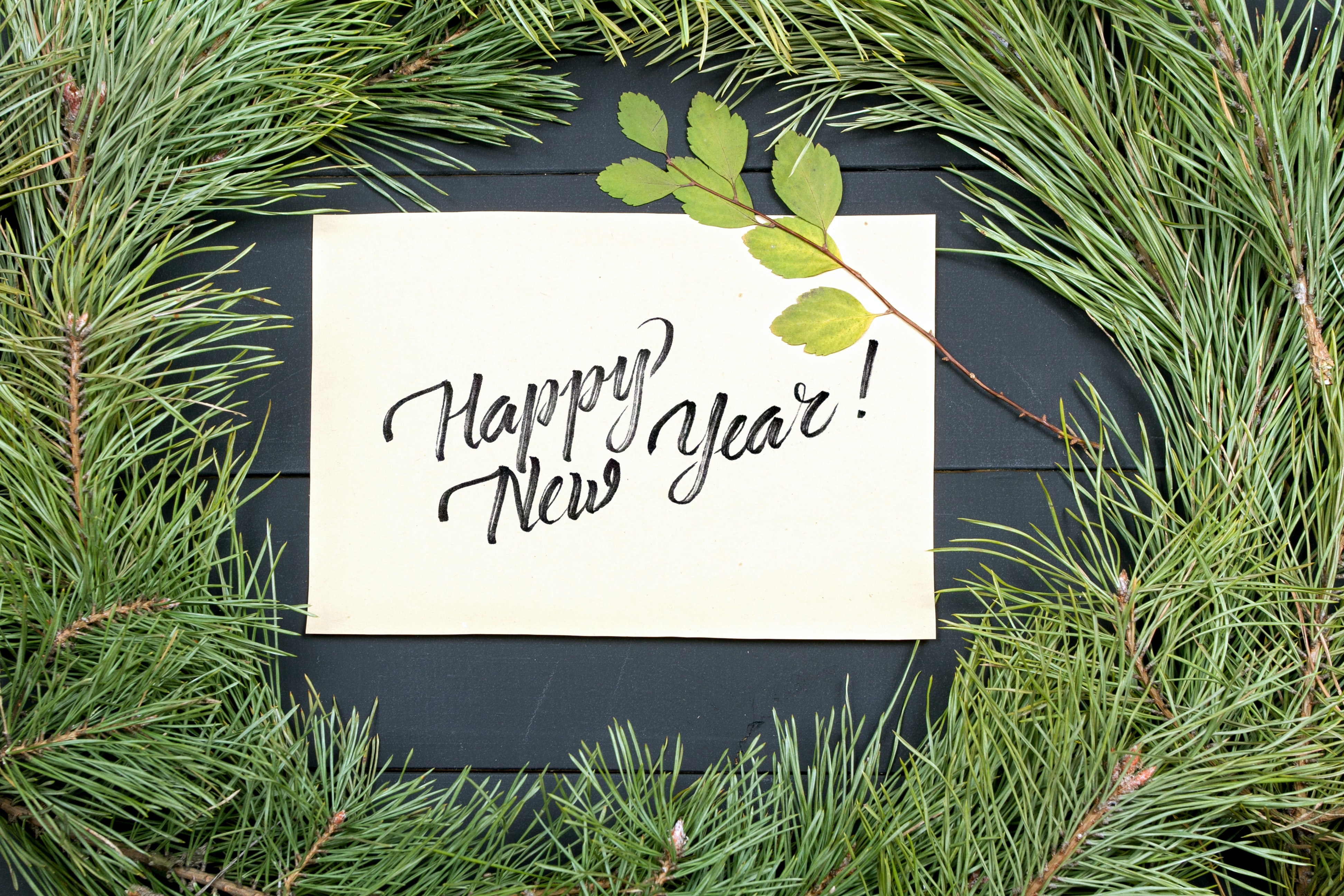 【glovariaより新年のご挨拶🎍】飛躍の一年に！