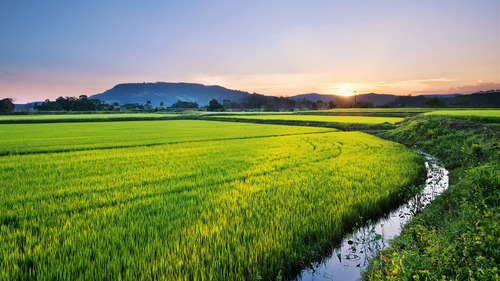 20年間地方で暮らしていた大学生が東京で社会人になった理由