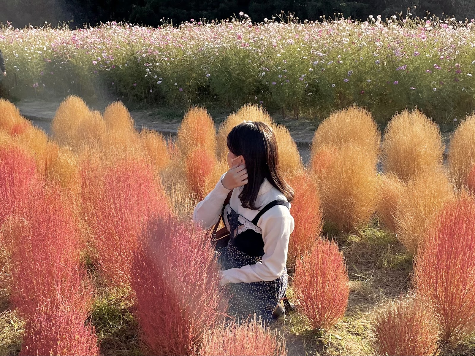 やりたいことがない私が、トキメキからエンジニアを目指した理由