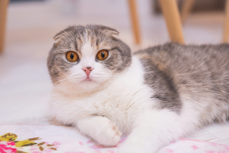 姿勢が悪いと太る！