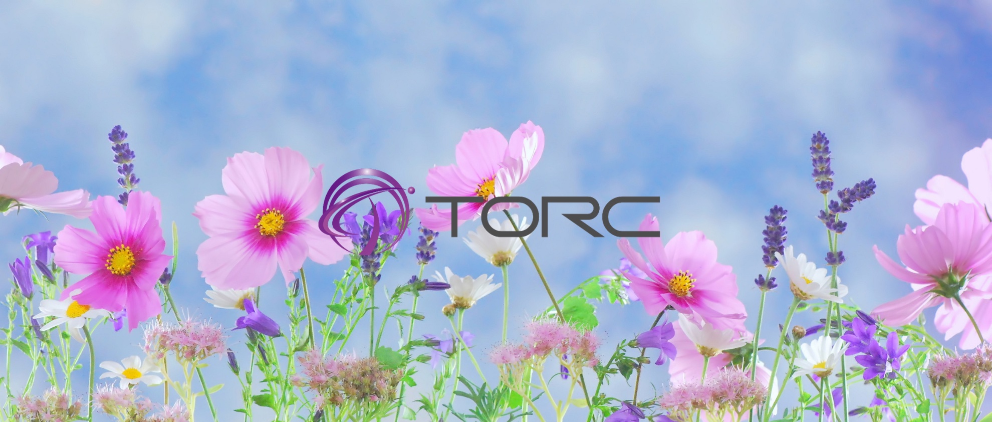 【社員紹介：NO3 ・N.Sさん】自分のやりたいことができる環境へ！