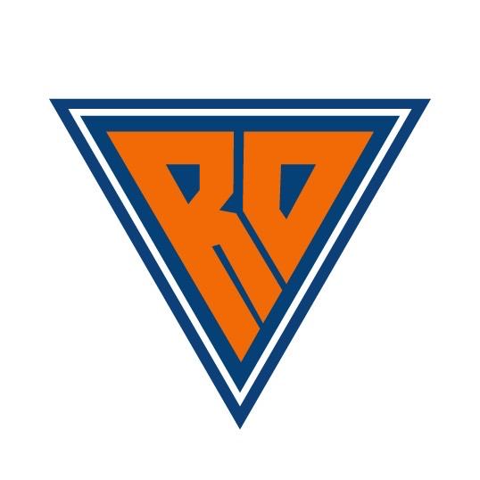 Raiseone株式会社