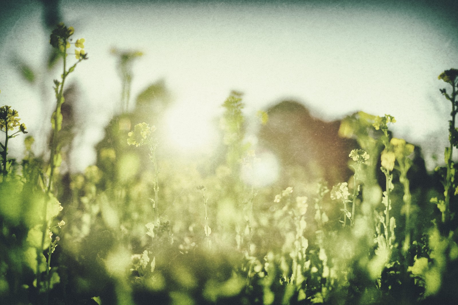 はたらくって幸せ