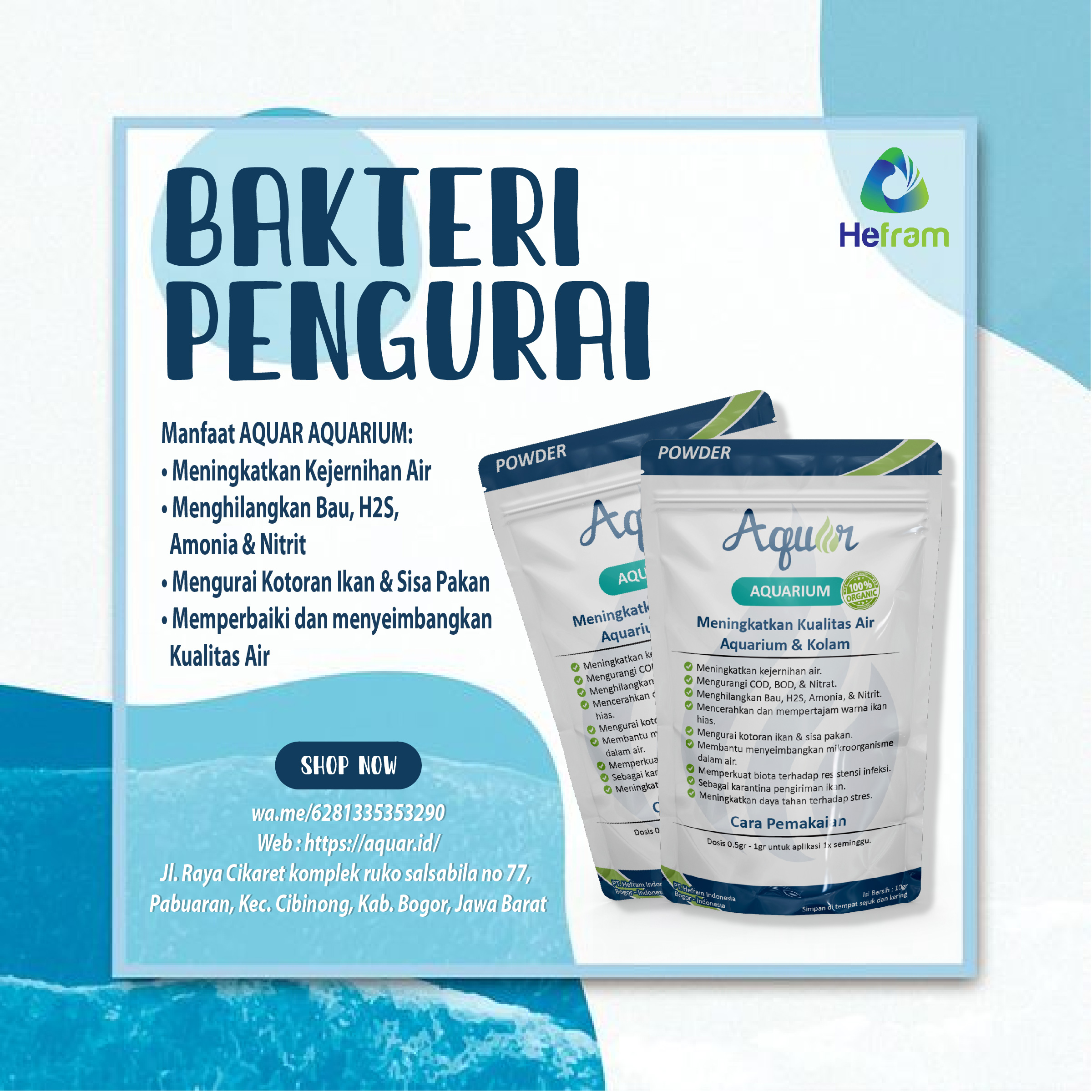 Bakteri Pengurai Kotoran Ikan Aquar