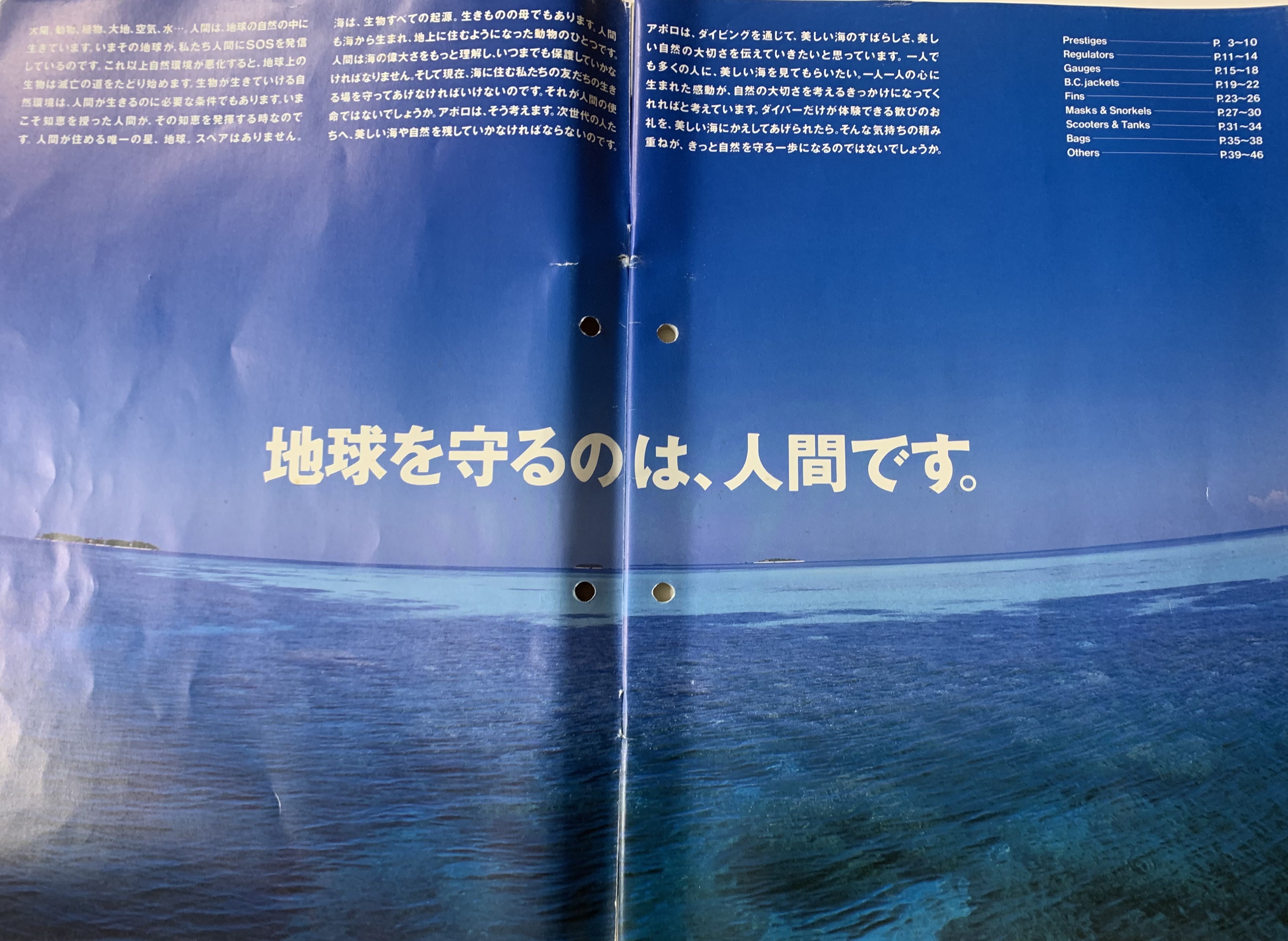1993年は、エコと呼ばれていました。