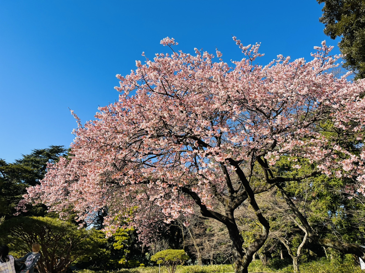 ２月のOJT報告 [UAT開始！]－Hさん