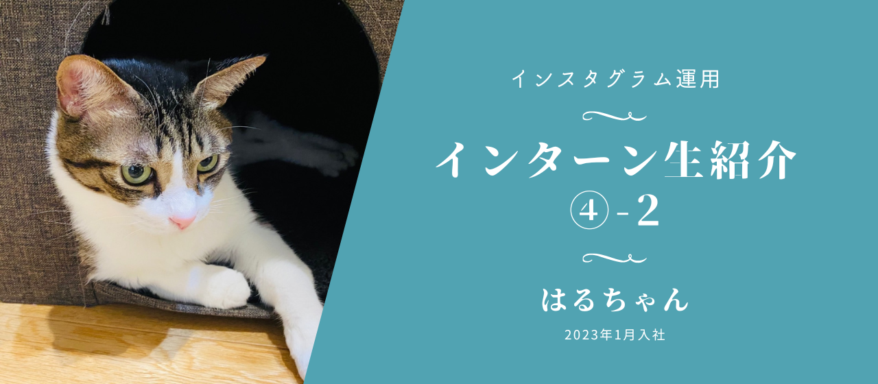インスタグラム運用インターン生紹介第4弾②〜はるちゃん〜