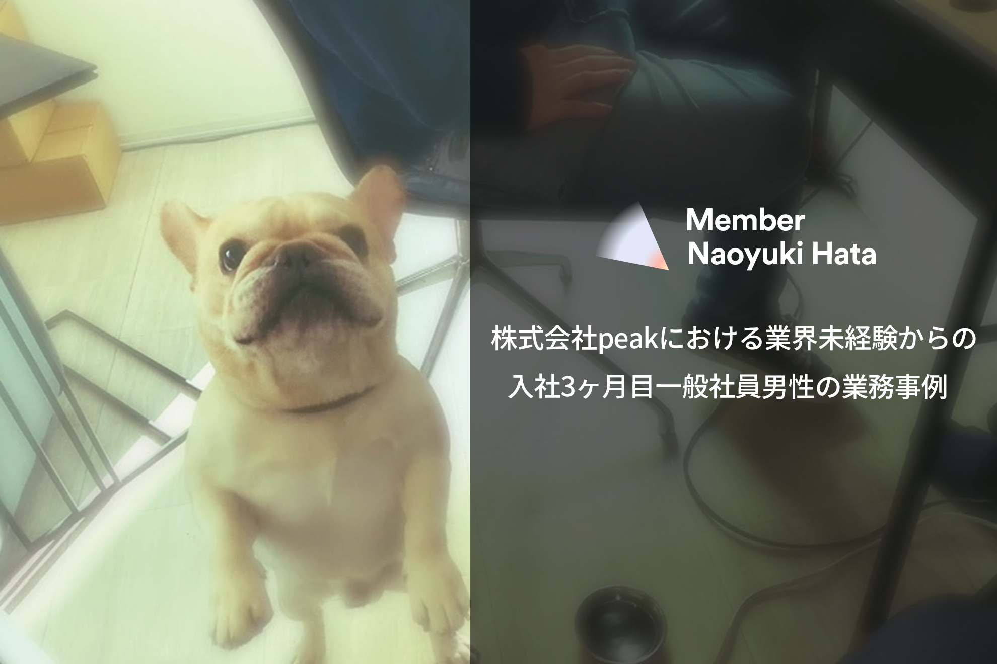 株式会社peakにおける業界未経験からの入社3ヶ月目一般社員男性の業務事例
