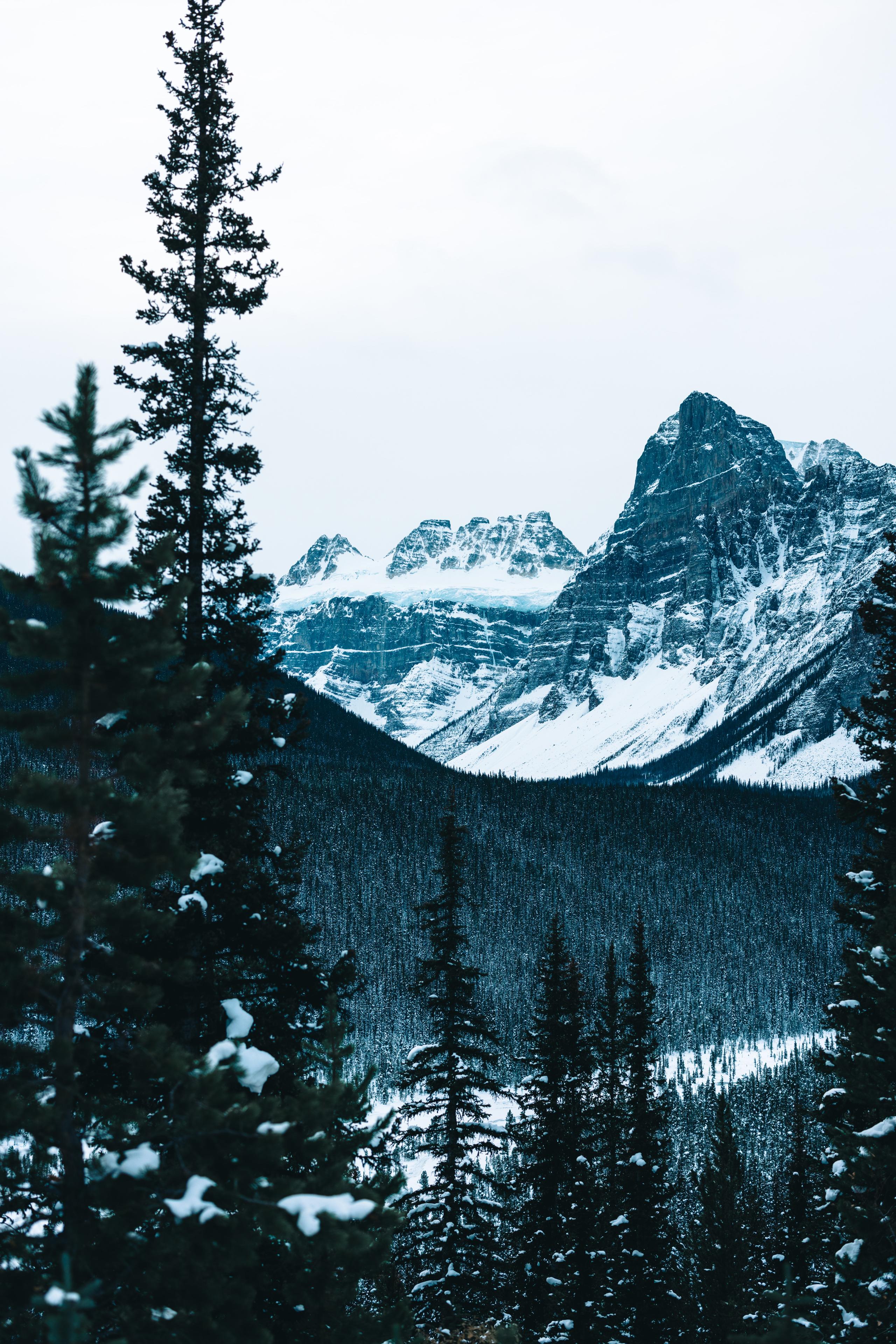 Does Ikaria Lean Belly Juice Suitable For All Ages People?