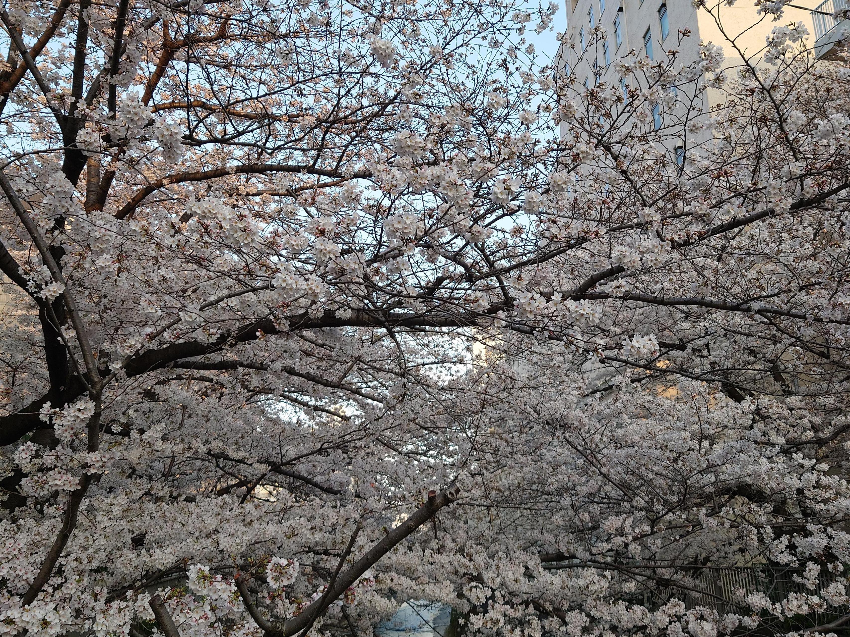 今、お忙しいですか？