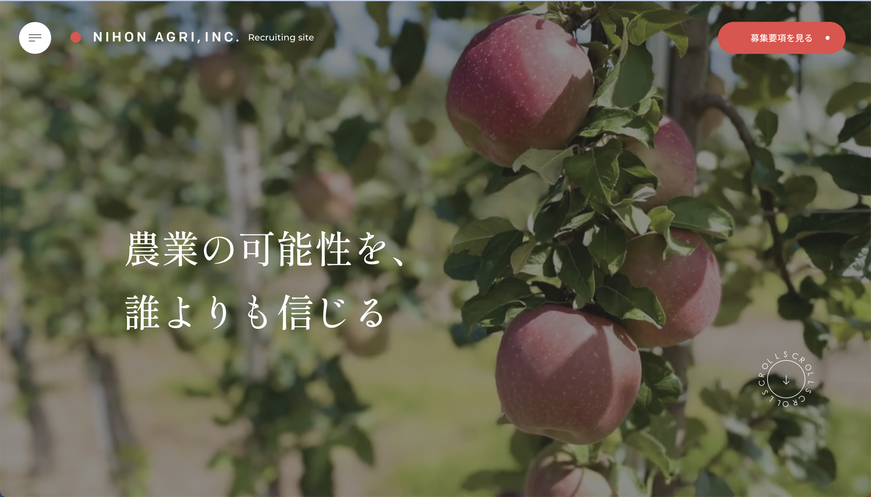 採用サイト開設のお知らせ