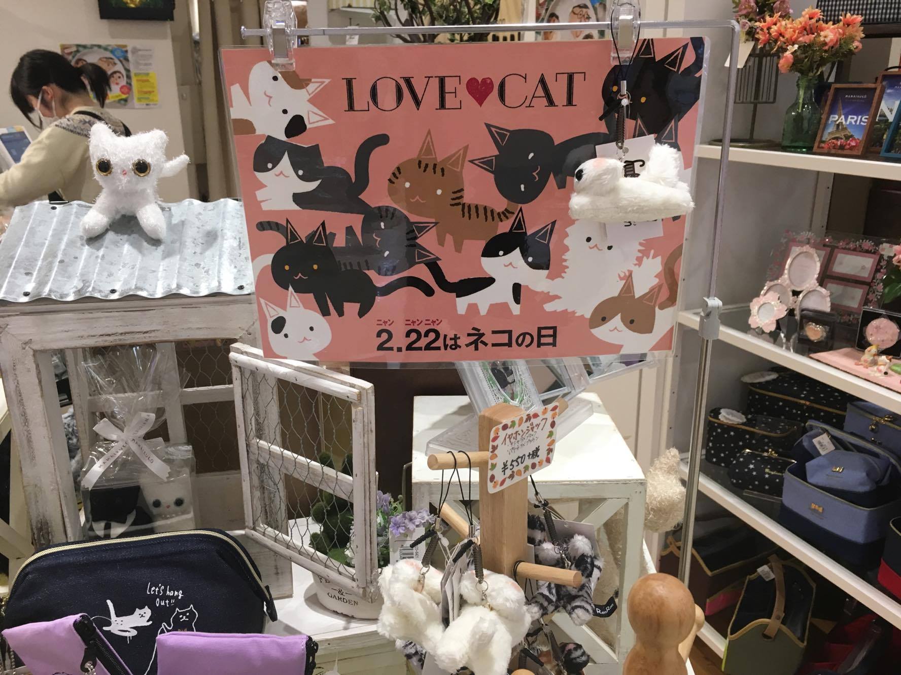 今週、２/２２はネコの日♪