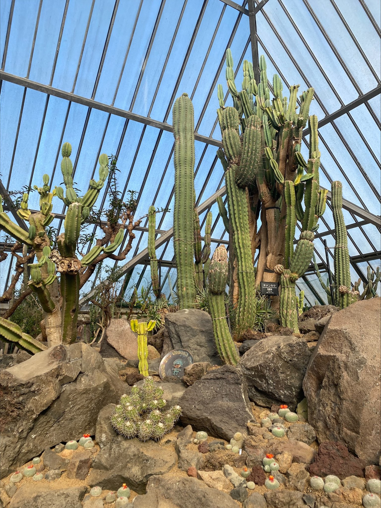 シャボテン動物公園