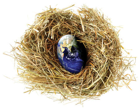 株式会社EarthNest