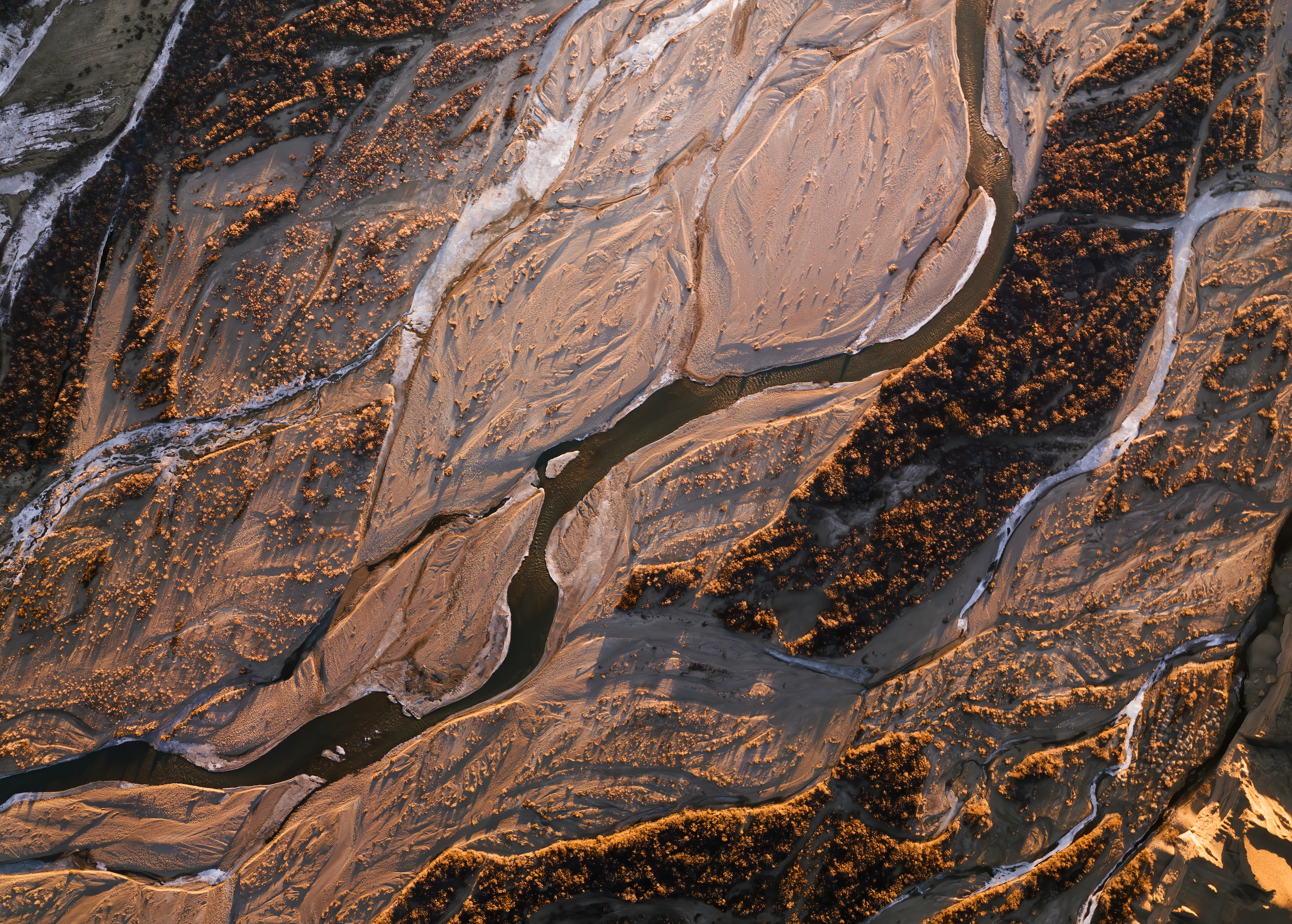 イーストコーストワンメンバー社員インタビュー～基盤技術部の巻～