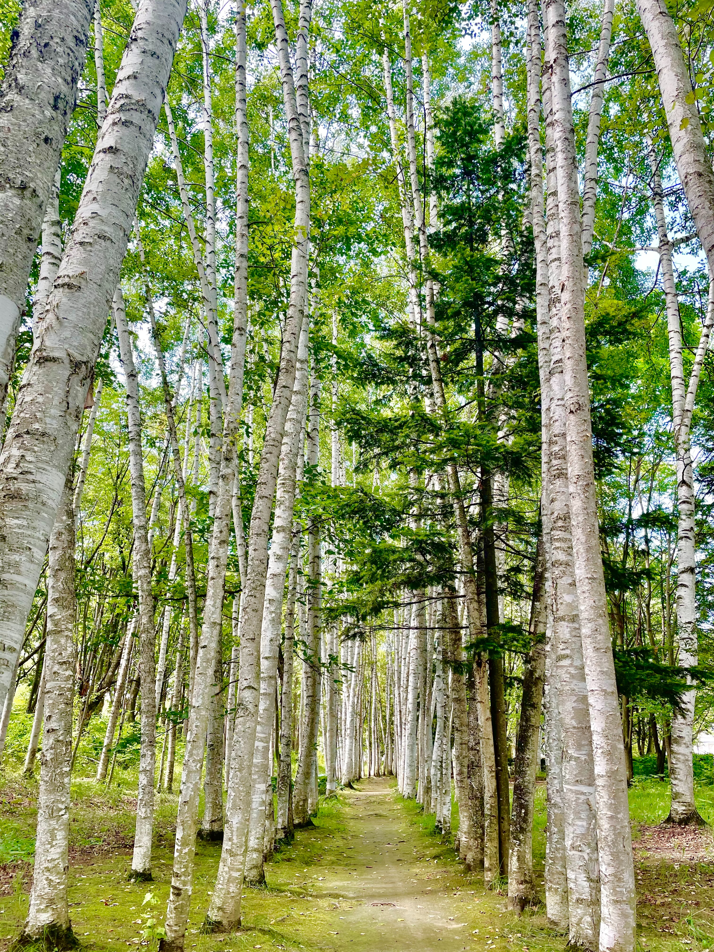 イーストコーストワンメンバー社員インタビュー～基盤技術部の巻～