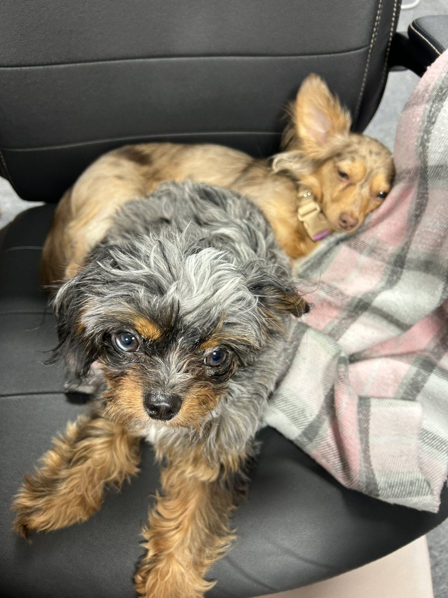 GWいかがお過ごしでしたでしょうか✨