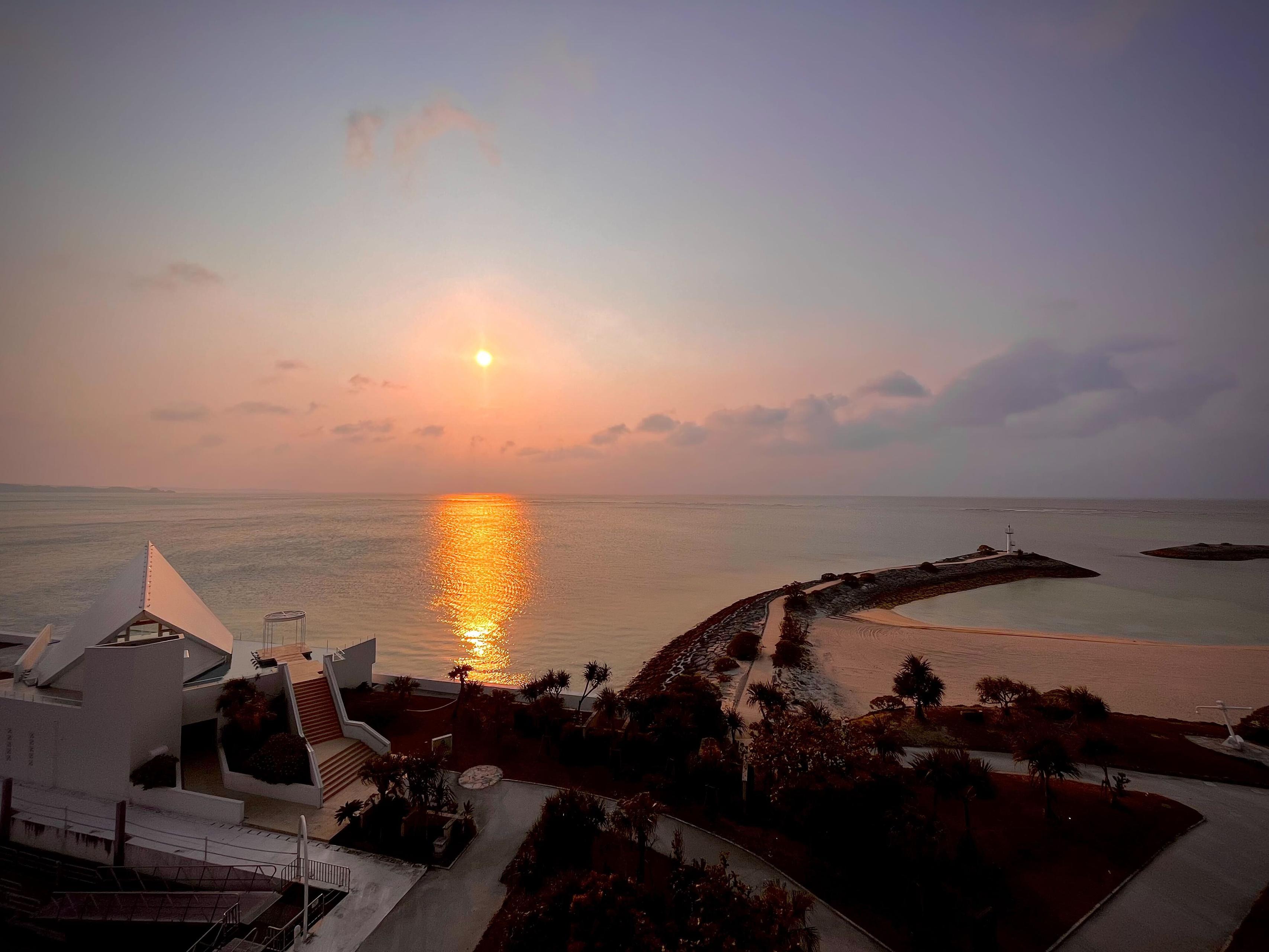 #5 社員旅行記 ✈️🌺