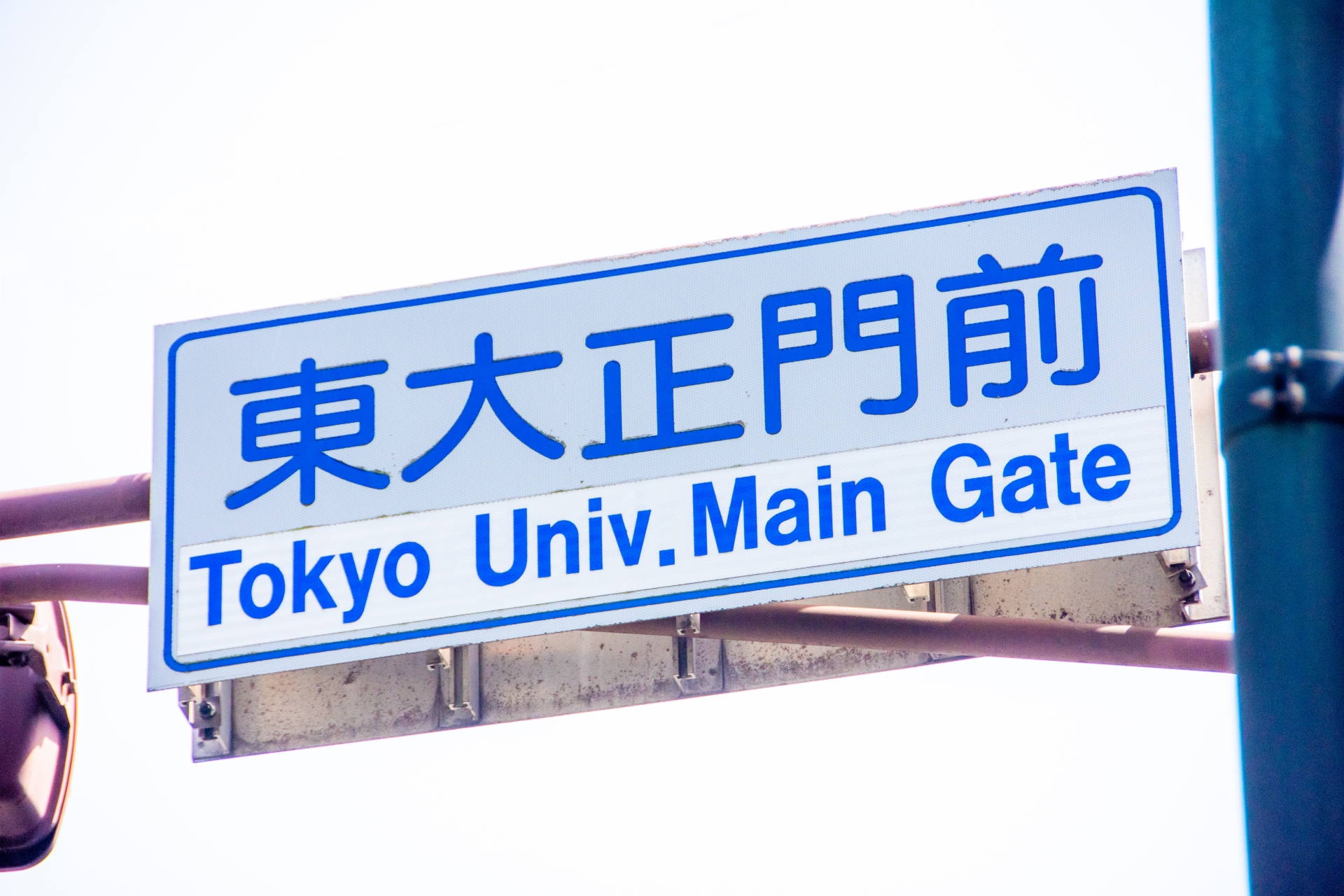 【メンバーインタビュー】東大を休学して選んだ起業までの道のり