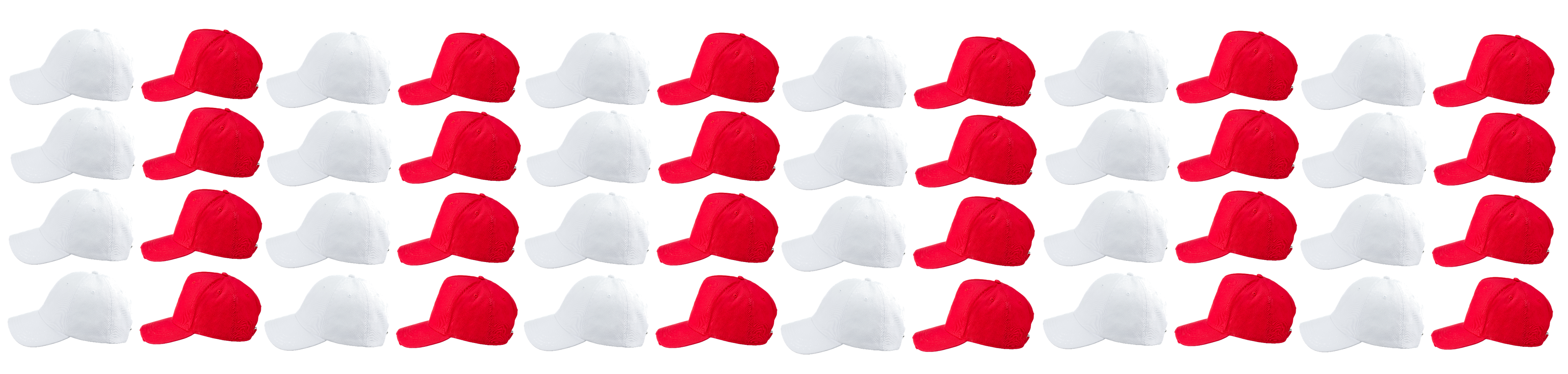 マンガ「はたらく細胞」が大好きな人！その知識仕事に活かしてみませんか？