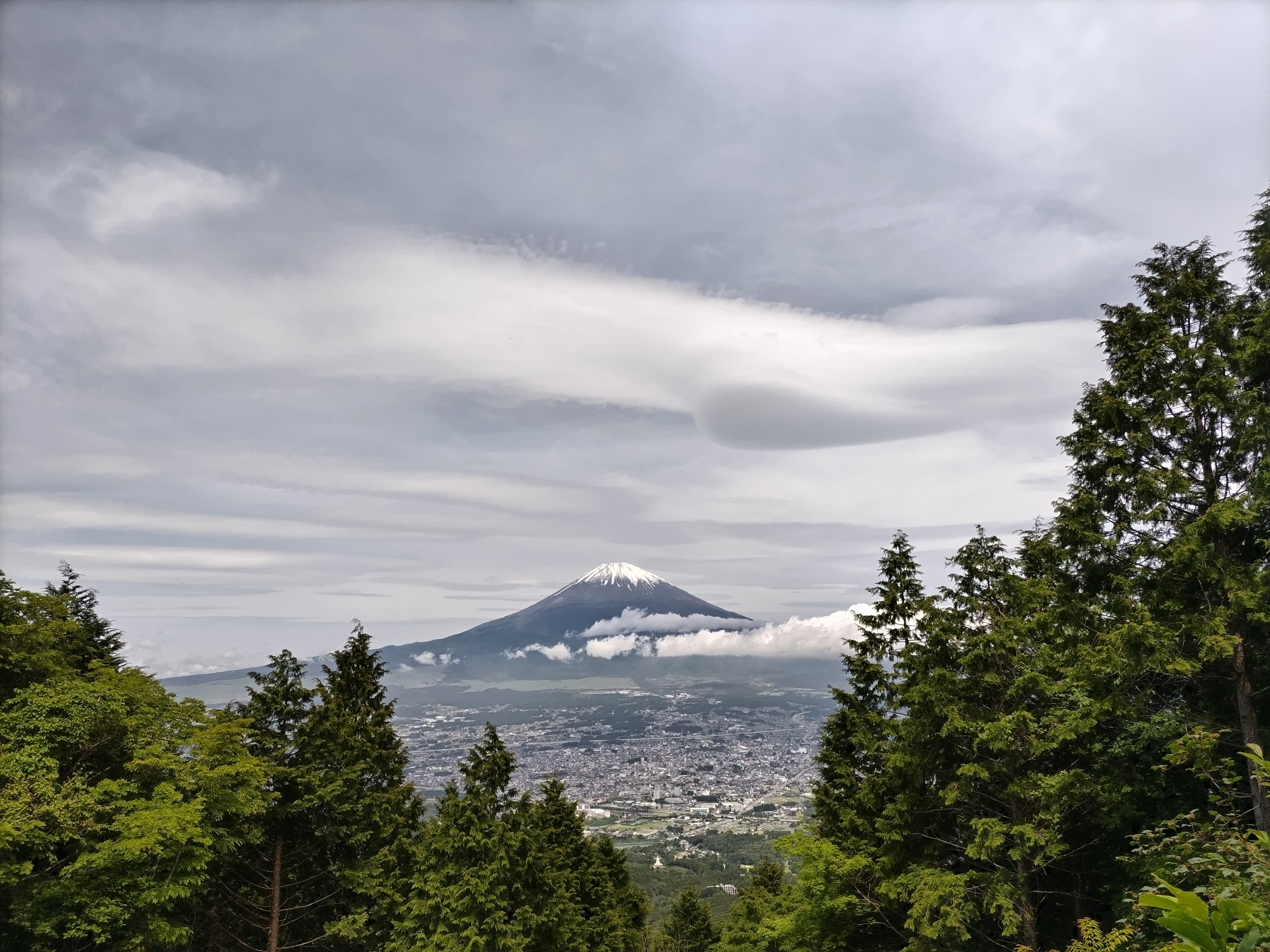 それが僕には楽しそうだったから、テックタッチに入社しました