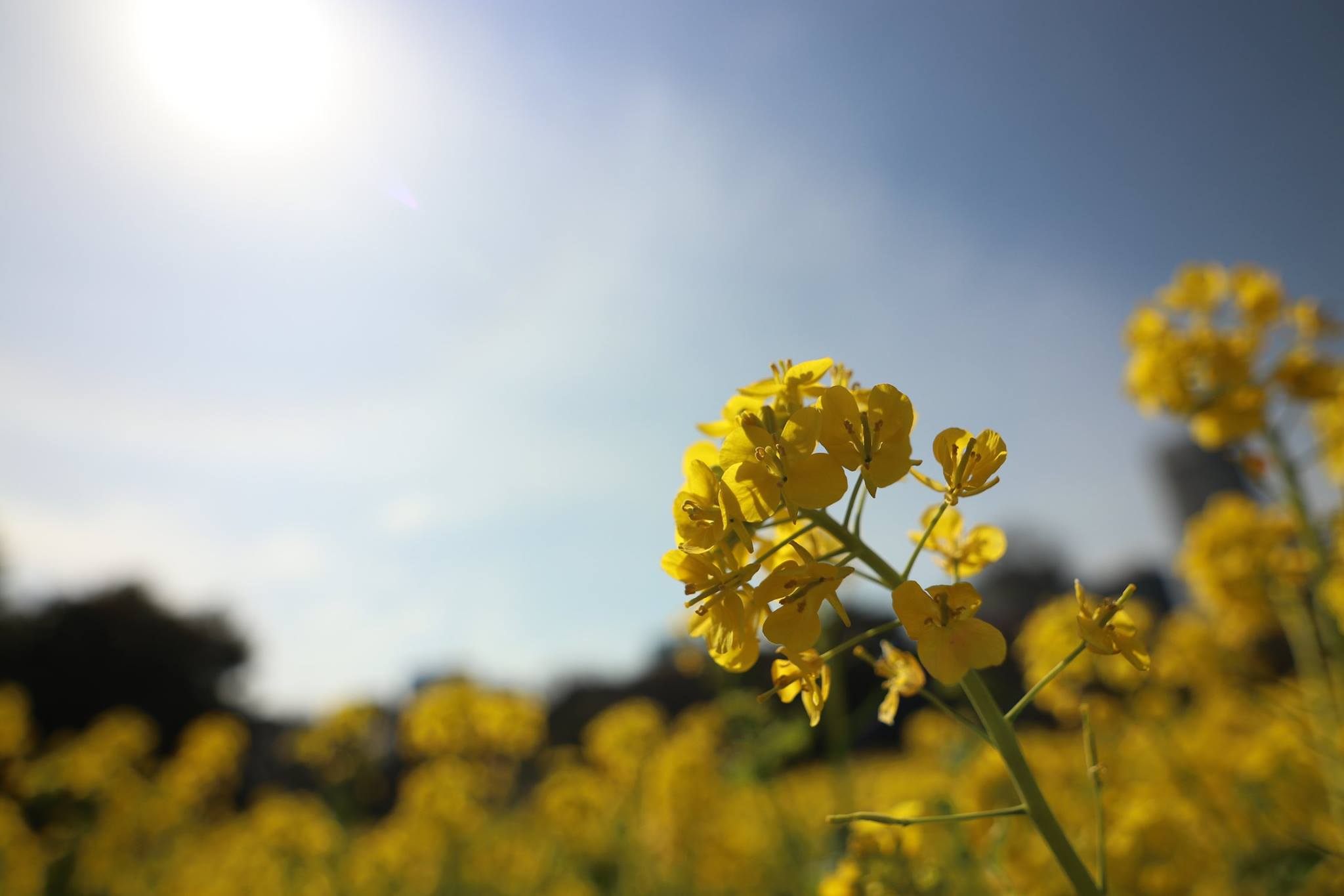 Elixirの旨味を調べてみた。