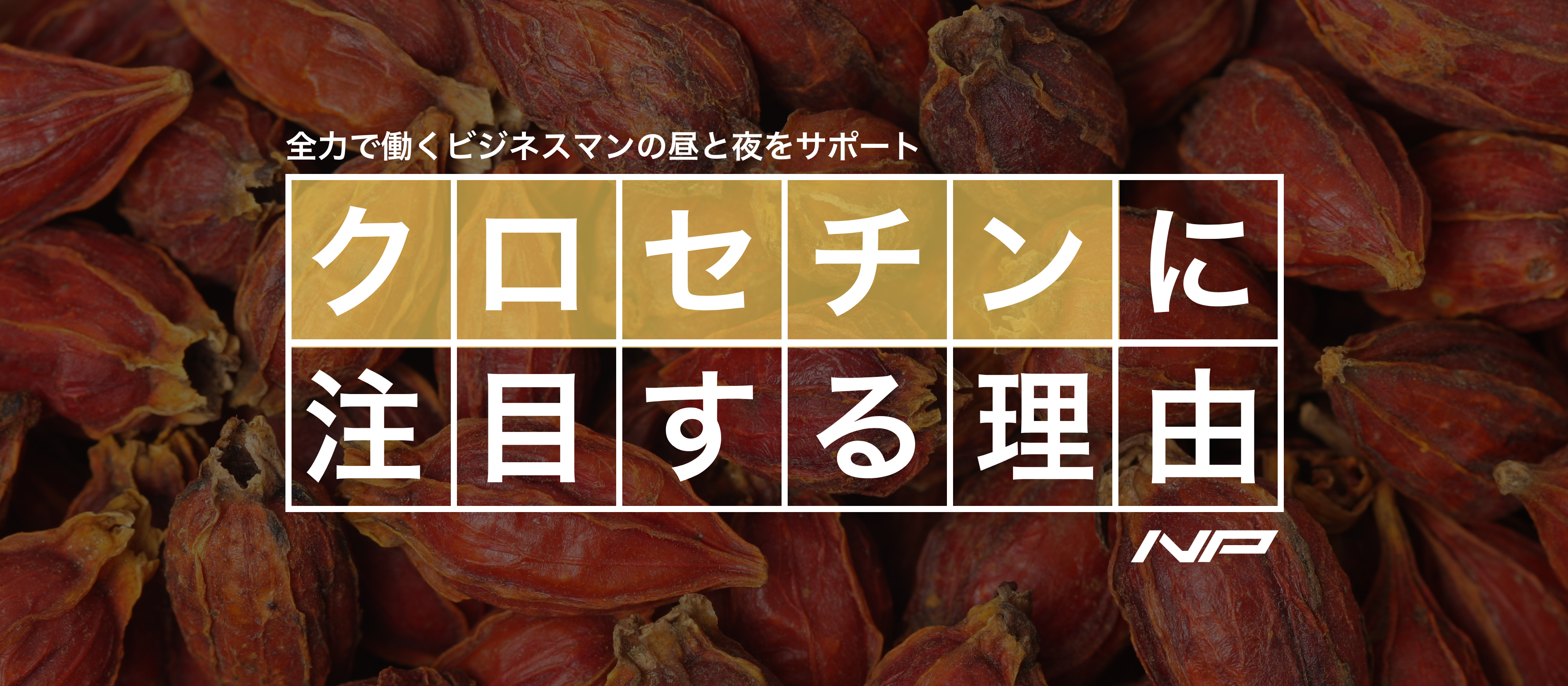 快眠効果が話題の『クロセチン』にアルファメイルが注目する10つの理由